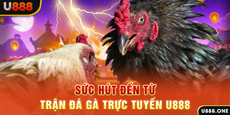 alo789vn đá gà trực tiếp c1