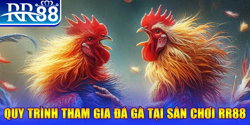 alo789vn đá gà cam 67