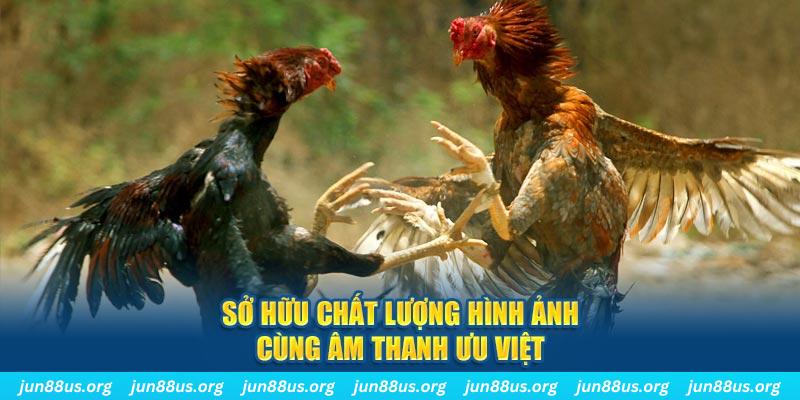 alo789vn PP Điện Tử