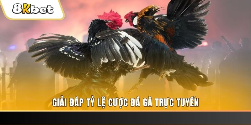 alo789vn xổ số đài miền trung