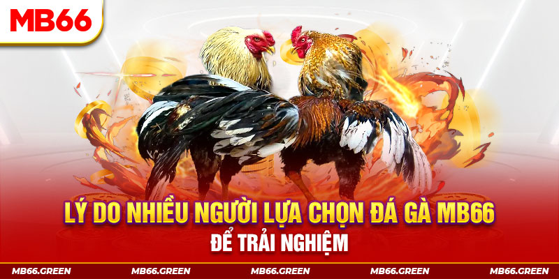 alo789vn xổ số miền bắc thứ bảy hàng tuần