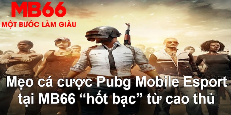 alo789vn VA Bắn cá