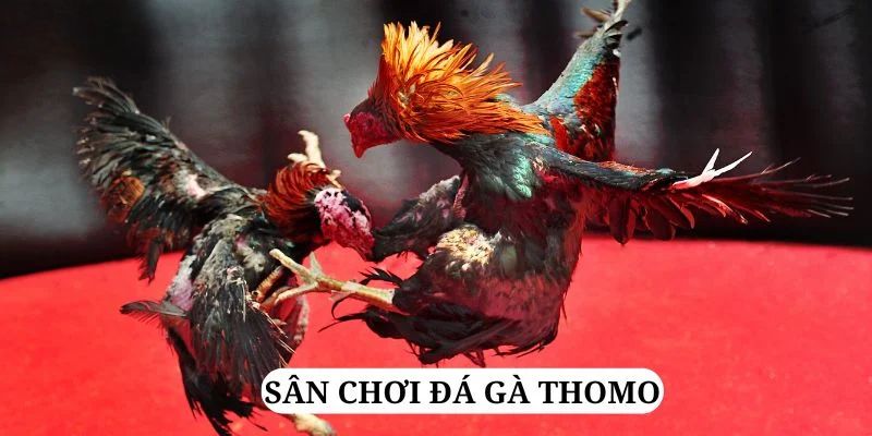 alo789vn trực tiếp xổ số miền bắc